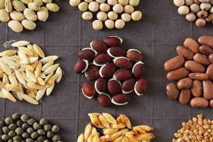 seeds