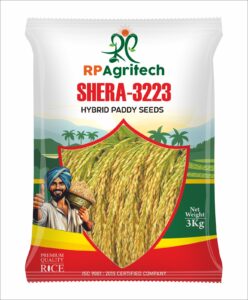 whatsapp image 2026 01 17 at 10.14.05 am