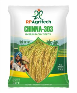 whatsapp image 2026 01 17 at 10.14.06 am