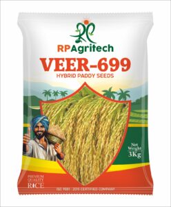 whatsapp image 2026 01 17 at 10.14.07 am (2)