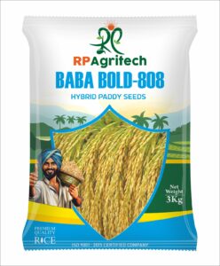 whatsapp image 2026 01 17 at 10.14.07 am